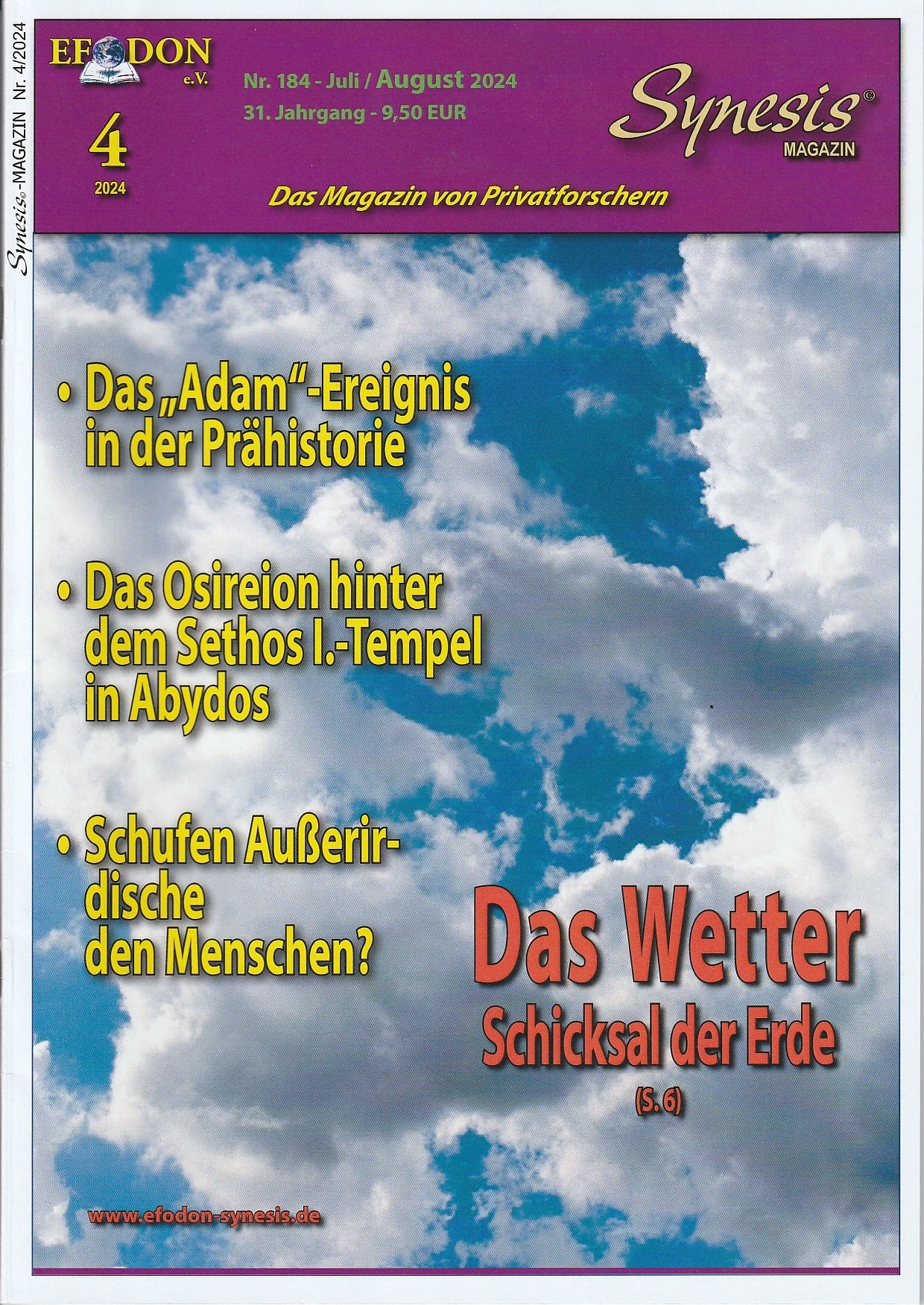 Synesis 4_2024 Titelseite